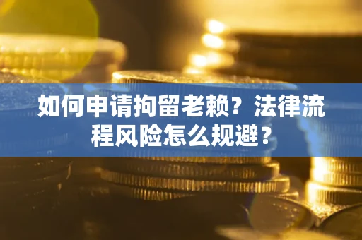 北京如何申请拘留老赖？法律流程风险怎么规避？