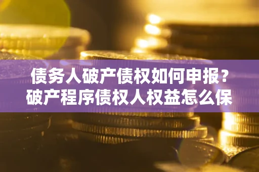 北京债务人破产债权如何申报？破产程序债权人权益怎么保障？