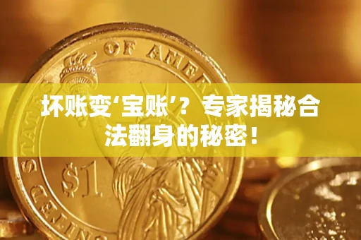 北京坏账变‘宝账’？专家揭秘合法翻身的秘密！