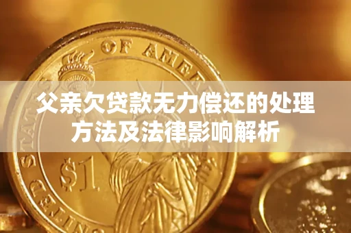 北京父亲欠贷款无力偿还的处理方法及法律影响解析